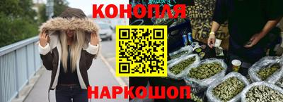 стаф Заводоуковск
