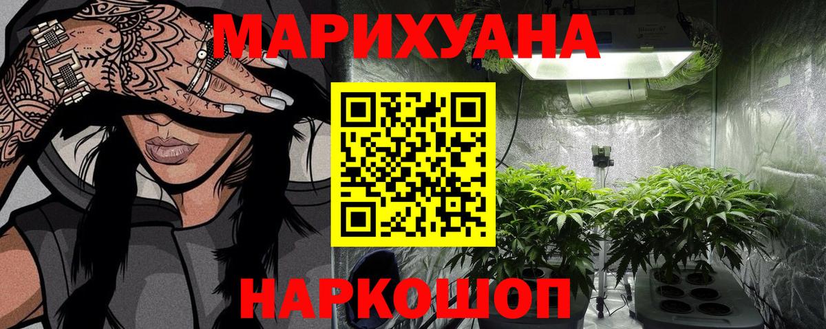 Каннабис сатива Миасс